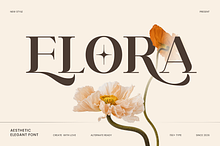 Elora - Luxury Font