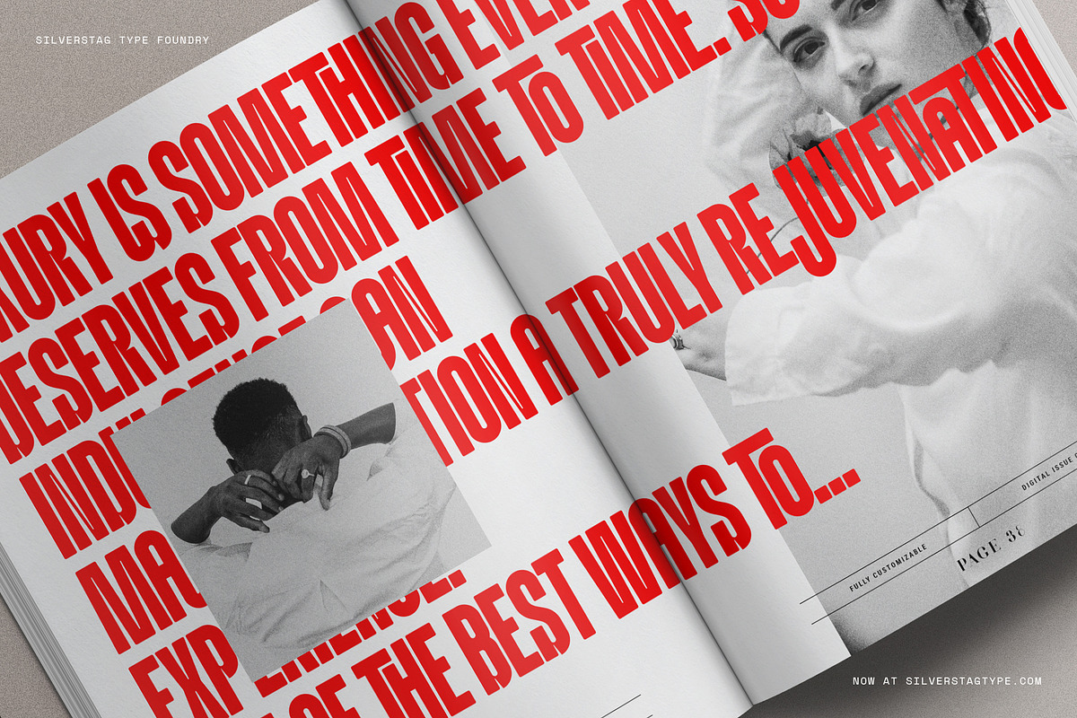 Knolt – Bold Ultra-Condensed Font, a Sans Serif Font by SilverStag Type Foundry (Photo 5 of 20)