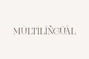 Brisca Miera - Chic Ligature Font, a Serif Font by suhadidesign (Thumbnail 10 of 13)