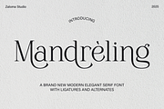 Mandreling, a Serif Font by Zaloma Studio (Thumbnail 1 of 15)