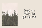 Pineblossom Script, a Handwritten Font by Beck McCormick (Thumbnail 2 of 8)