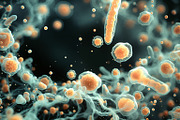 52 Fictional Microscopic Organisms, an Abstract Photo by h.utomo (Thumbnail 31 of 52)