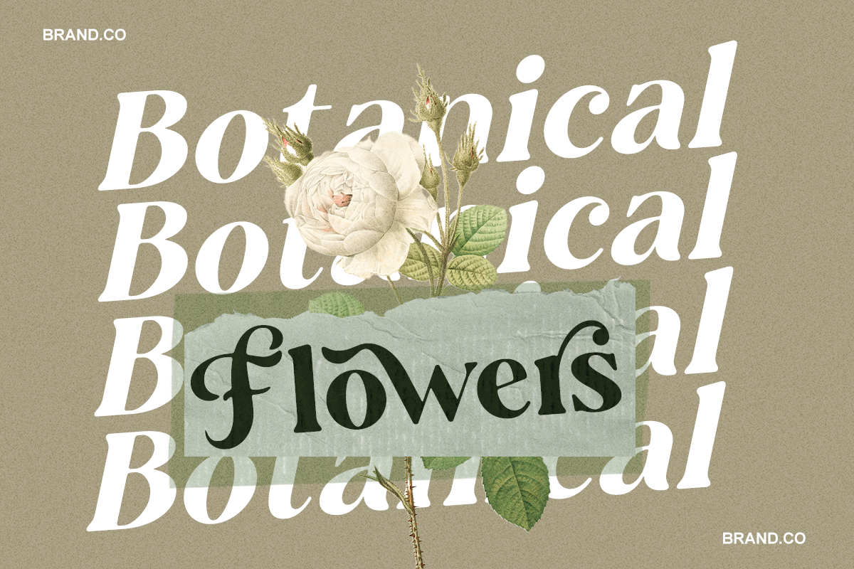 Ansilent - Modern Serif Font, a Serif Font by RagamKata (Photo 4 of 10)