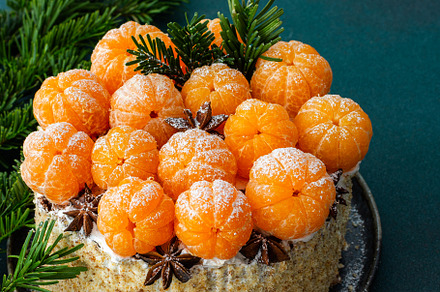 Delicious Christmas cake, a Food & Drink Photo by Pandateam