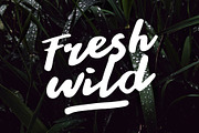 Stay Young - A Display Font, a Script Font by azetypestudios.com (Thumbnail 3 of 10)