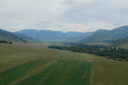 Green fields and mountains in Altai, a Nature Photo by TravelFlow