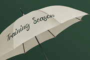 Magnolia Script Font, a Script Font by Catalystco Studio (Thumbnail 7 of 7)