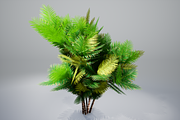 Pinanga coronata, an Environmental 3D Model by AndrewWhite (Thumbnail 15 of 25)