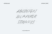 Catamount Signature Font, a Handwritten Font by UICreative (Thumbnail 9 of 13)