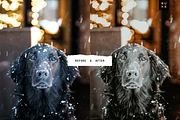 8 Christmas Me! Lightroom Bundle, a Preset Add-On by SHOOM HOUSE (Thumbnail 6 of 9)