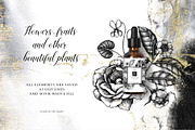 Floral Aromatic Vector Illustrations, an Object Graphic by Yevheniia (Thumbnail 4 of 7)