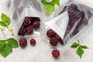 Frozen blackberries in vacuum bags for food preservation, a Food & Drink Photo by Olena Rudo