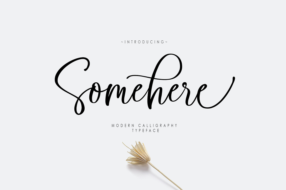 Somehere Script, a Script Font by moriztype (Photo 1 of 10)