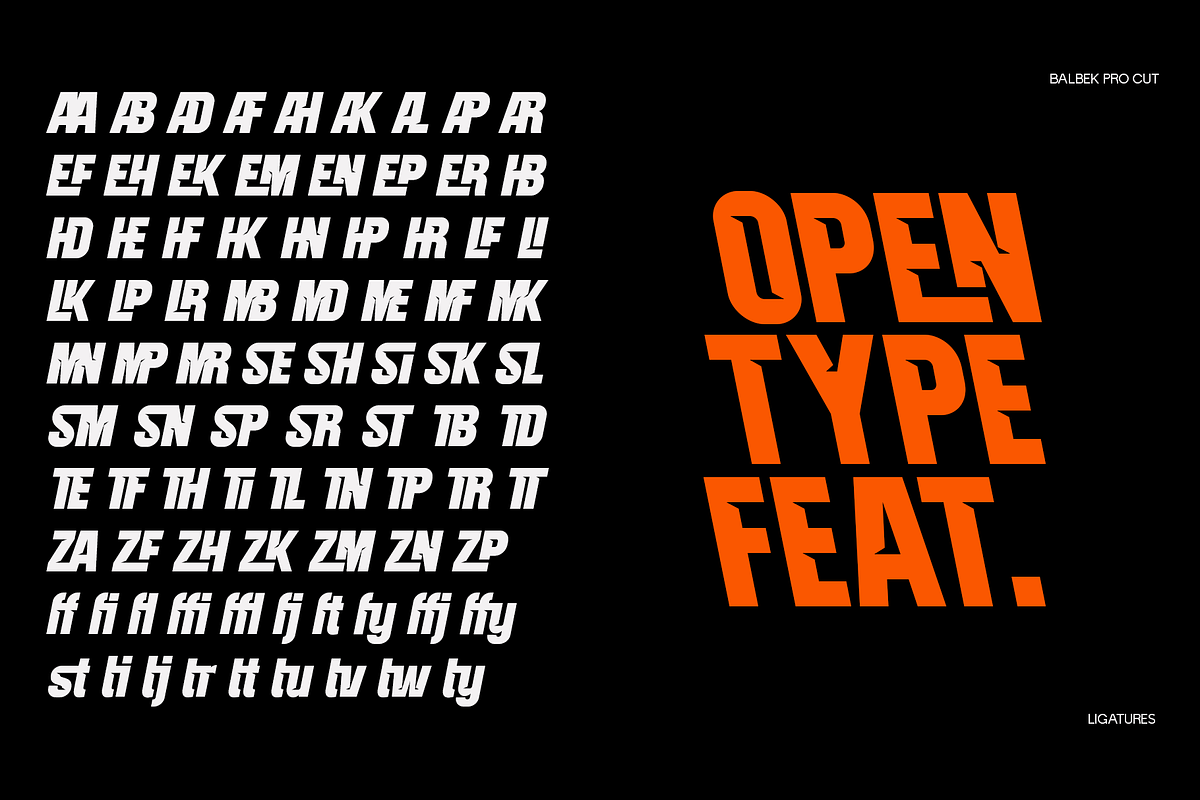 Balbek Pro Cut - Modern Sans Serif, a Sans Serif Font by Valentino Vergan (Photo 14 of 15)