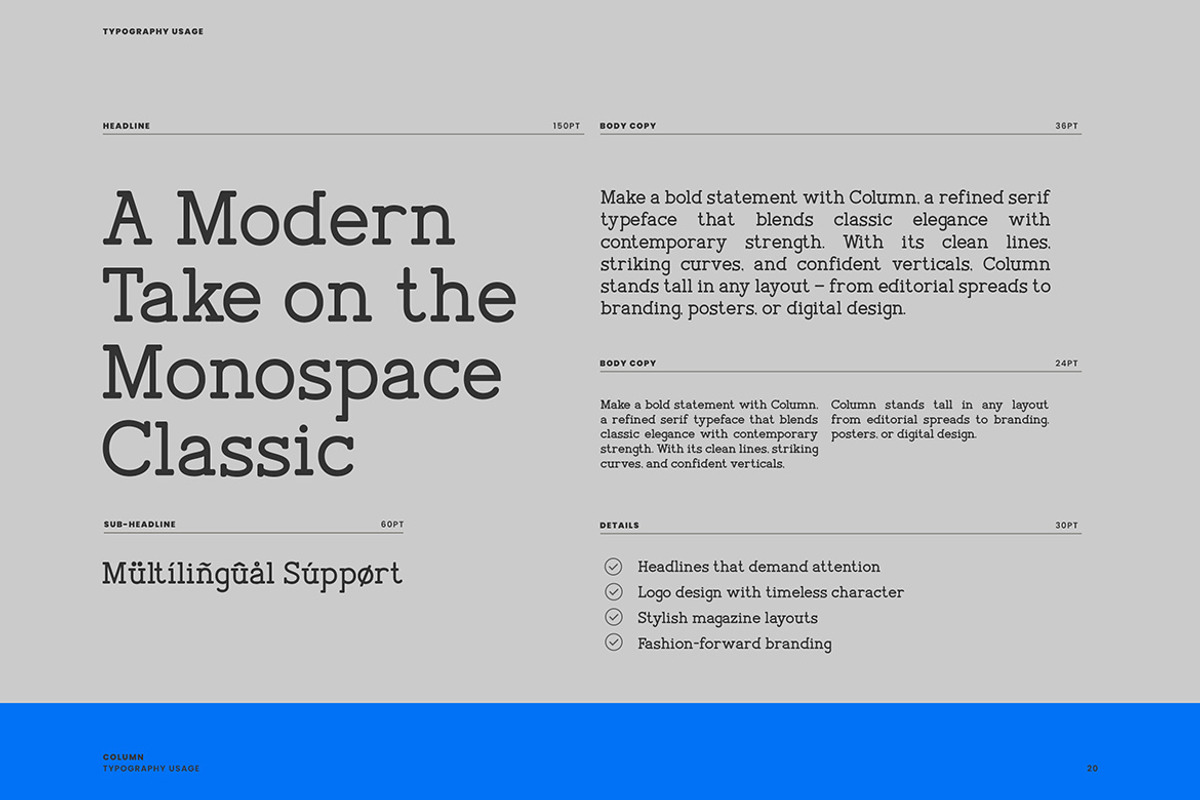 Column Modern Soft Slab Serif Font, a Slab Serif Font by Vadovastd (Photo 3 of 7)