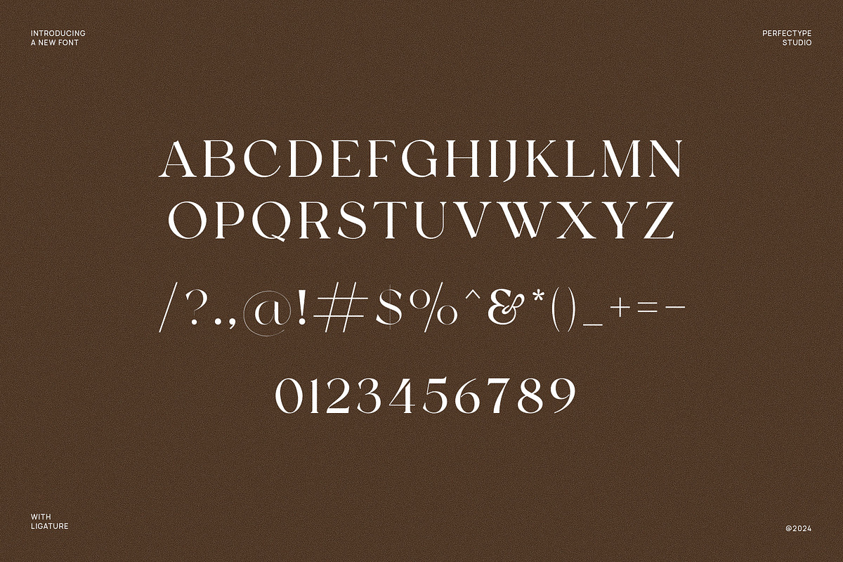 Satoru Elegant Serif Font, a Serif Font by Perfectype (Photo 6 of 6)