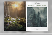 Deep Green Nature Brochure Template, a Brochure Template by Boris Cupac (Thumbnail 2 of 7)