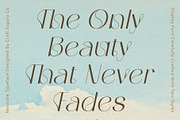 Merivale – Art Nouveau Font, a Sans Serif Font by Craft Supply Co. (Thumbnail 3 of 8)