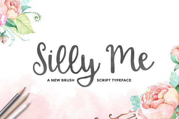 Silly Me Script preview 8