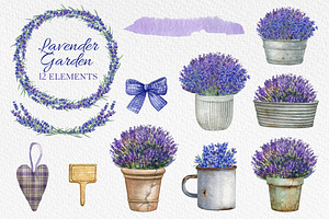 Watercolor Provence Lavender Flower