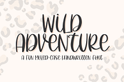 Wild Adventure, Handwritten Script, a Script Font by Designing Digitals (Thumbnail 1 of 8)