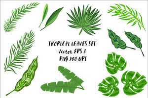 Rainforest Tropical Leaves set