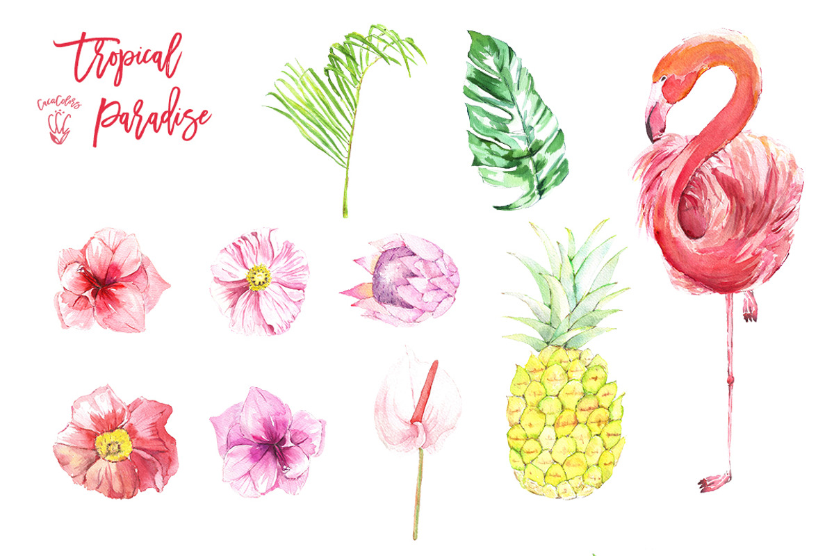 Tropical Clipart -Tropical Paradise, an Illustration by Cacacolors Clipart (Photo 3 of 3)