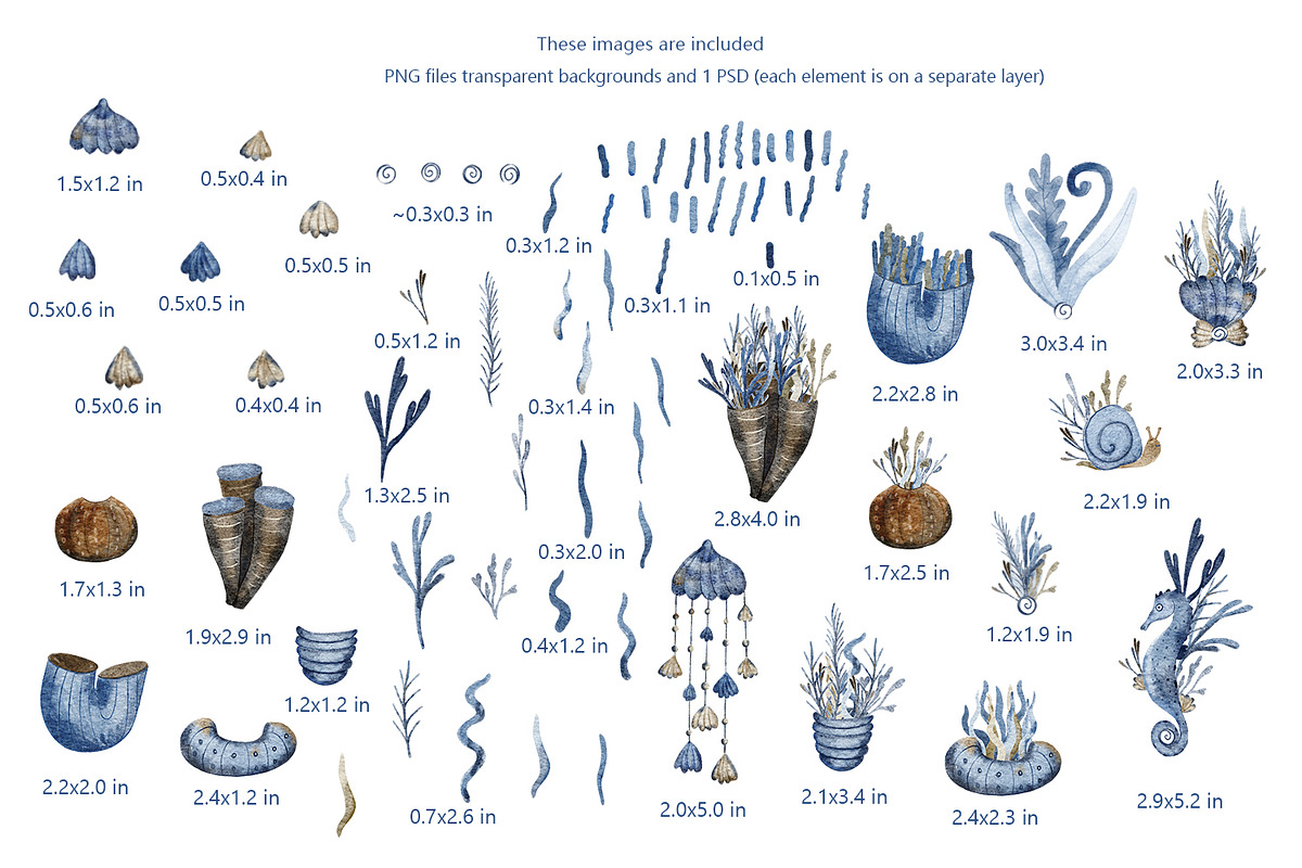 Underwater Life Watercolor, an Illustration by Anna Druzhkova (Photo 3 of 14)