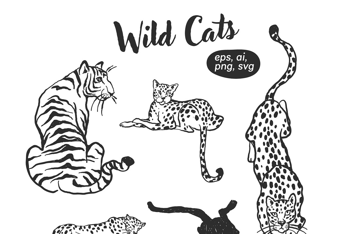 Jungle Cat Sketches, an Icon by Anastasiya Klempach (Photo 3 of 10)