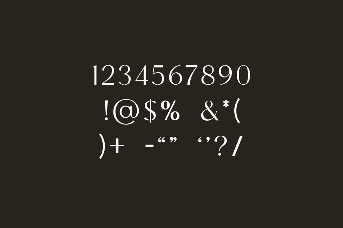 CENTRASONE Vintage Serif Font, a Serif Font by UICreative (Photo 10 of 12)