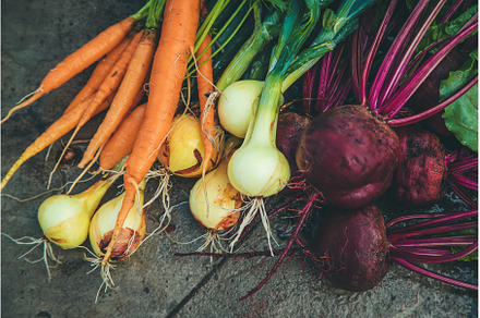 Harvest harvested in the garden, a Food & Drink Photo by yanadjana