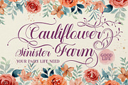 Mountleaf Typeface, a Script Font by alit design (Thumbnail 12 of 20)