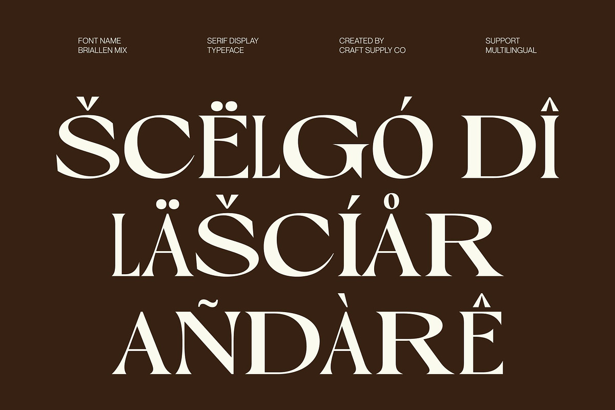 Briallen Mix, a Serif Font by Craft Supply Co. (Photo 7 of 8)