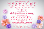 Dorothy | Modern Calligraphy, a Script Font by Almeera Std (Thumbnail 7 of 10)