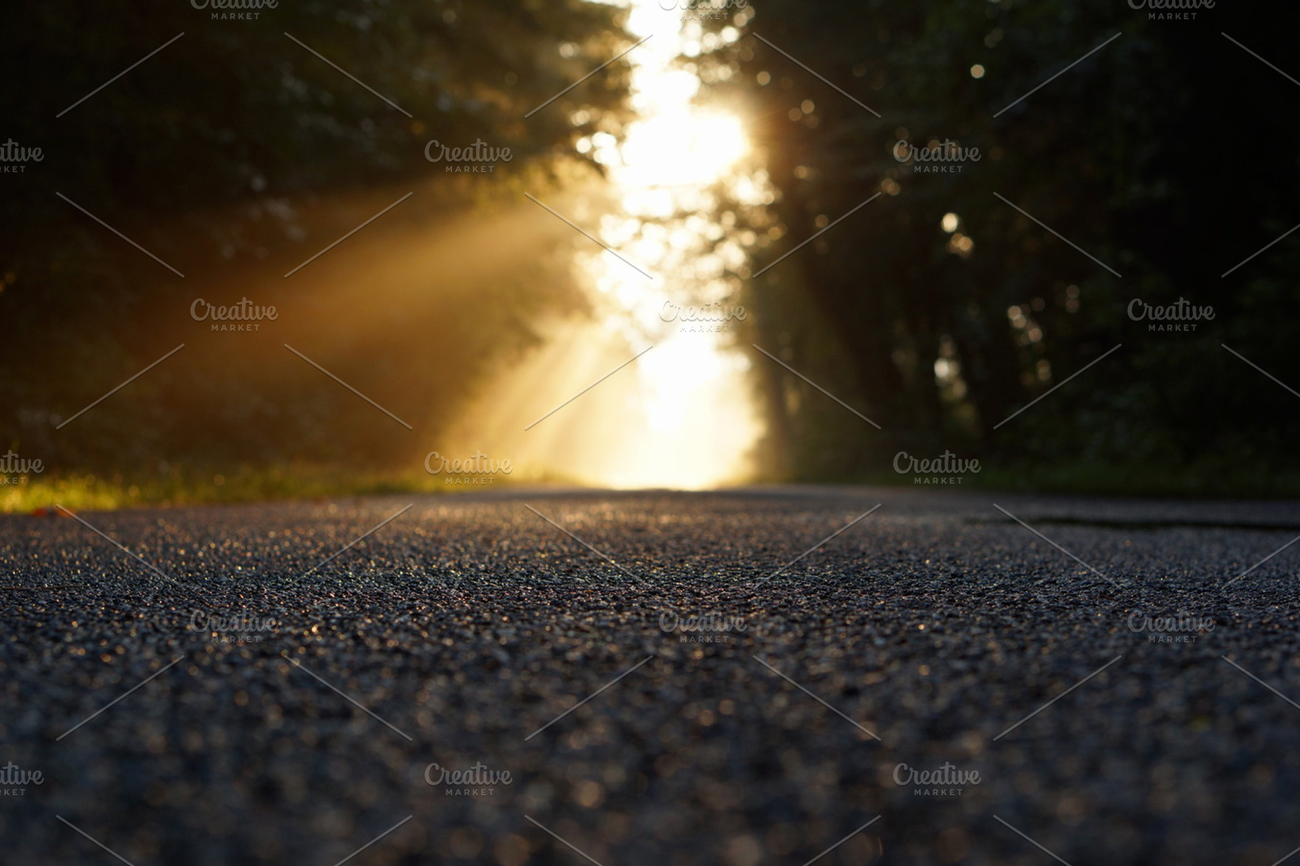 Morning Asphalt
