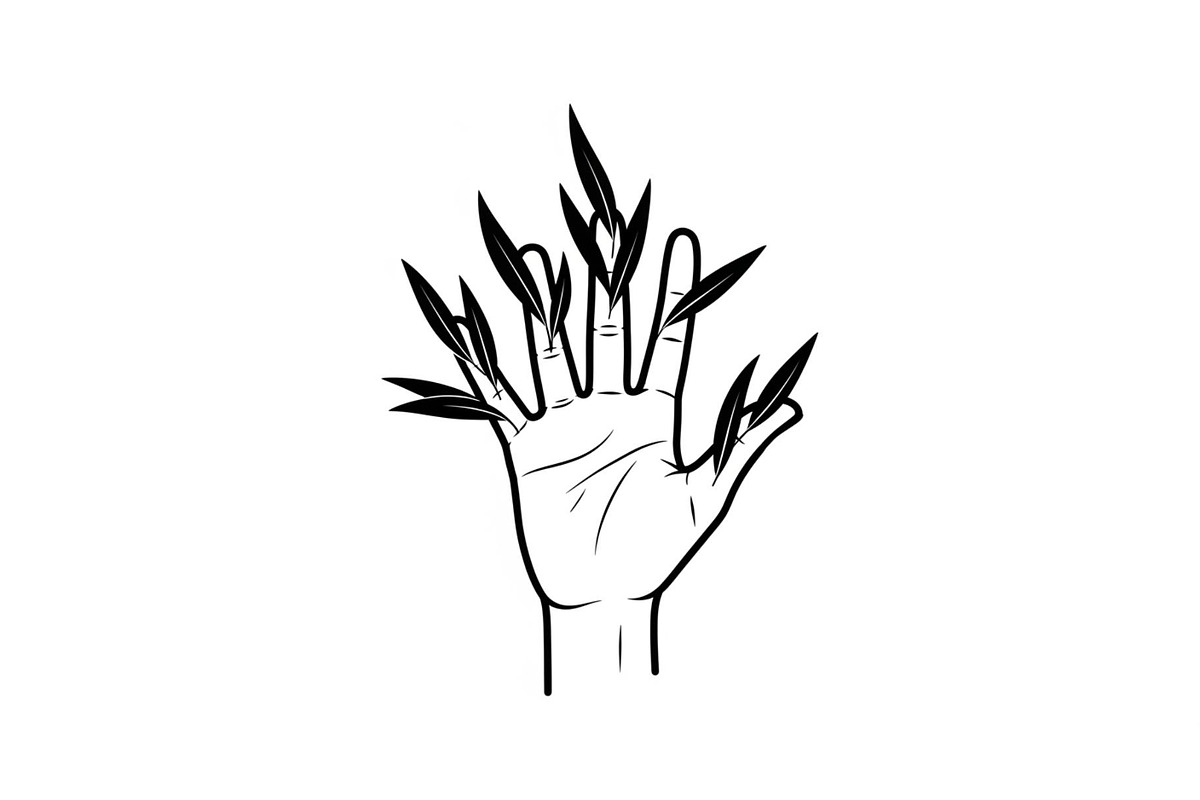 Hand Plant Growth Bundle, an Illustration by yasushie (Photo 23 of 31)