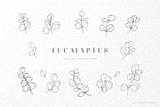 Eucalyptus watercolor illustrations, a Decorative Illustration by Liliia Polos Illustration (Thumbnail 7 of 11)