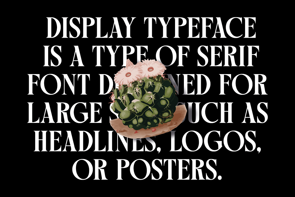 Micilage - Serif Display Typeface, a Serif Font by Comactype Foundry (Photo 8 of 20)