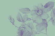 Vintage Floral Photoshop Brush Set, a Brush Add-On by Medialoot (Thumbnail 4 of 5)