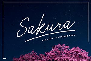 Sakura Font Set