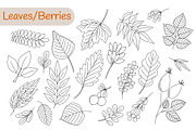 Mushroom Harvest Autumn Doodle Set, a Seasonal Illustration by Contes_de_fée (Thumbnail 3 of 9)