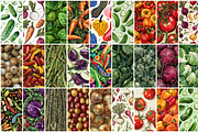 320 Vegetables Seamless Patterns, a Pattern Graphic by mkStudioLab (Thumbnail 7 of 9)