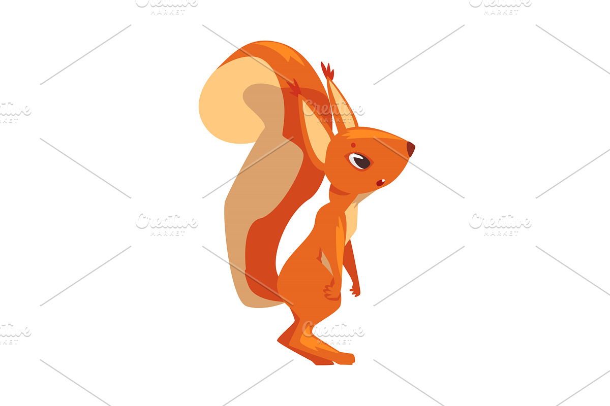 Funny Squirrel, Lovely Amusement, an Animal Illustration by TopVectors
