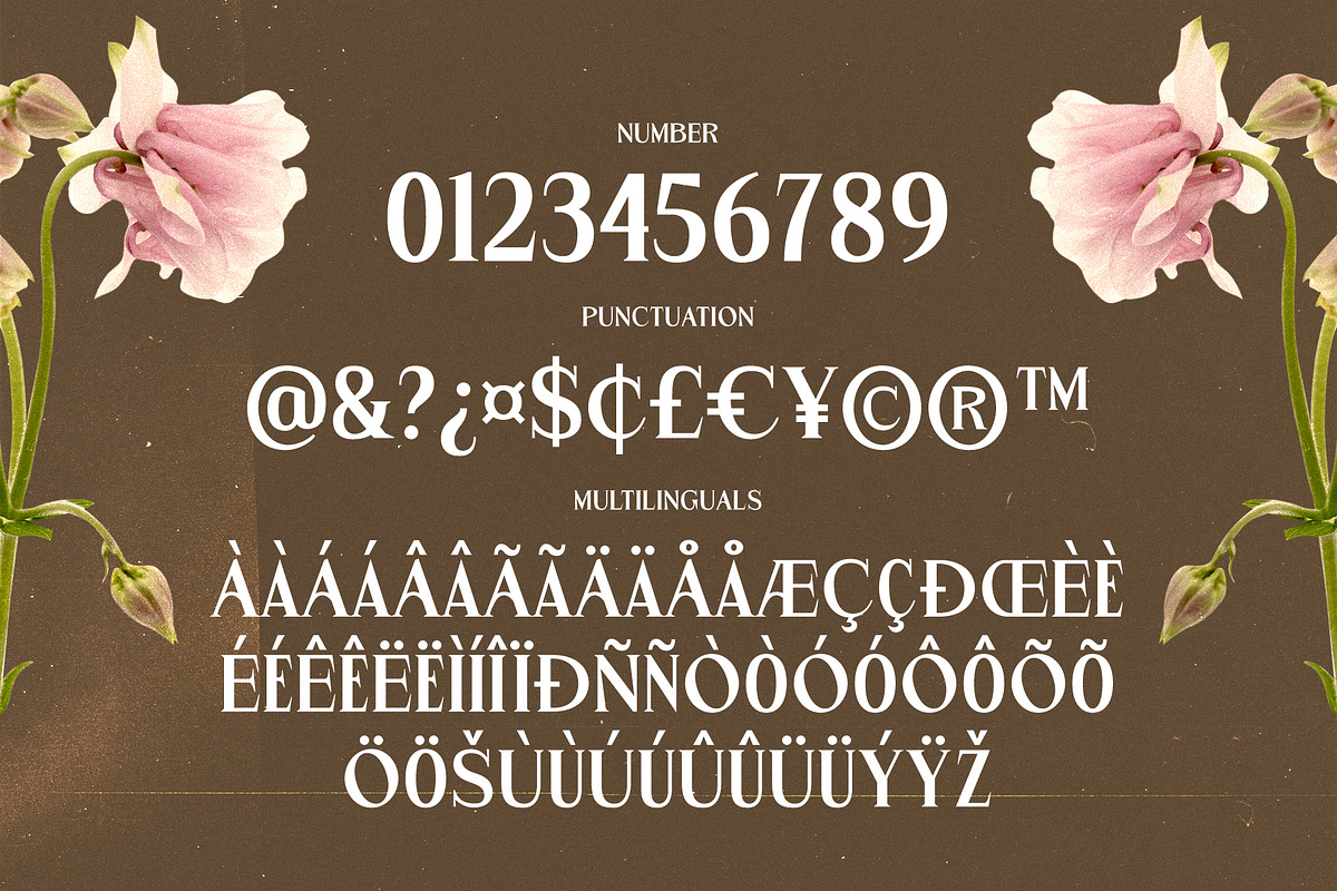 Garmole - Elegant Serif Font, a Serif Font by Hole Hope Design