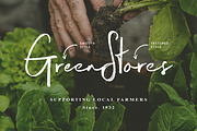 Magnite Brush Script, a Script Font by Tom Chalky (Thumbnail 3 of 10)