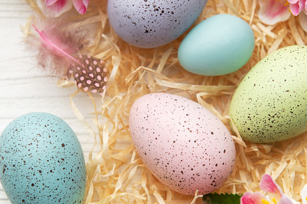 Easter eggs and spring flowers creating a frame on white wooden, a Holiday Photo by Olena Rudo