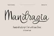 Mandragia Handcrafted Script, a Script Font by Littlehand (Thumbnail 1 of 9)