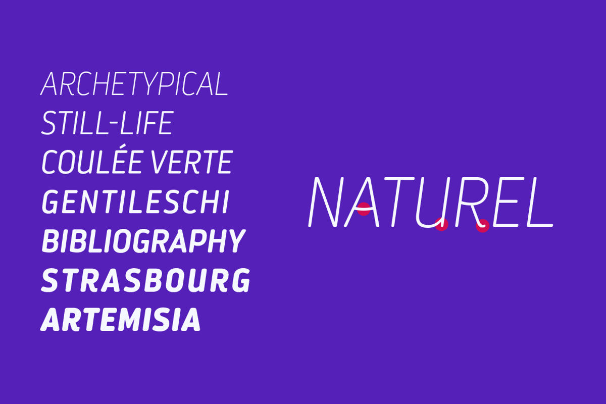 Darwin Rounded - Family 50% off, a Sans Serif Font by Los Andes Type (Photo 13 of 15)