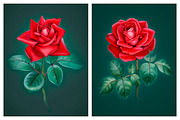 Red roses illustrations and patterns, a Texture Illustration by Sundra (Thumbnail 8 of 11)