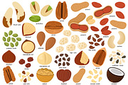 Fruits and Vegetables Clipart Bundle, an Object Graphic by Gulnara Sabirova (Thumbnail 3 of 35)